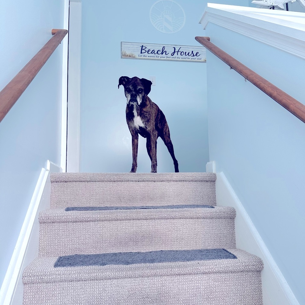 Meet your Posher, Debbie